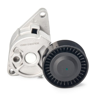 Spannarm Keilrippenriemen RIDEX 310T0022 310T0022 - foto 9
