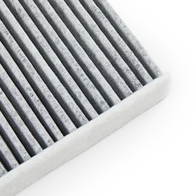 Filter, Innenraumluft RIDEX 424I0358 424I0358 - foto 13