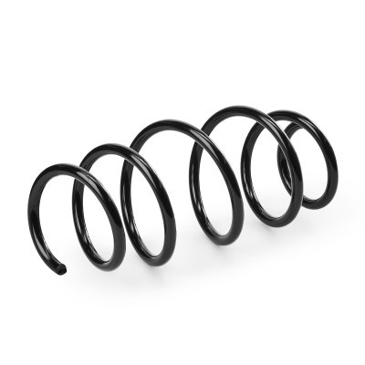 Fahrwerksfeder RIDEX 188C1706 188C1706 - foto 3