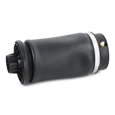 Federbalg, Luftfederung RIDEX 4118A0014 4118A0014 - foto 6