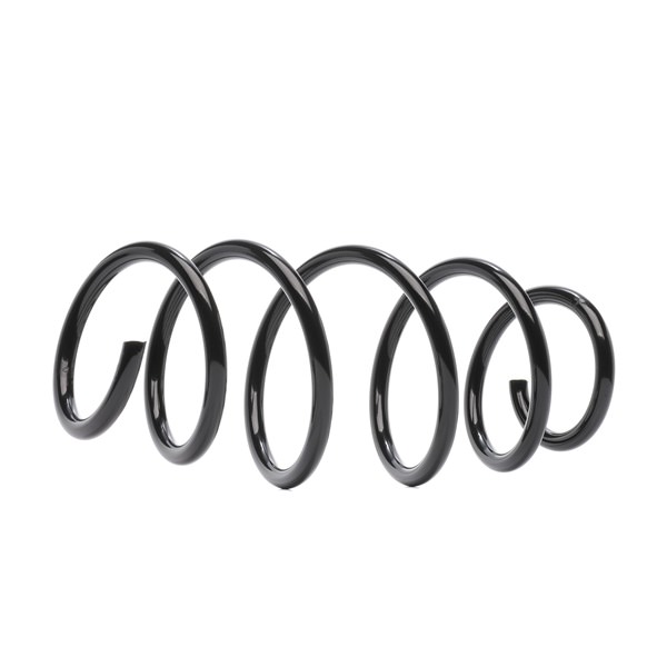 Fahrwerksfeder RIDEX 188C1706 188C1706 - foto 1