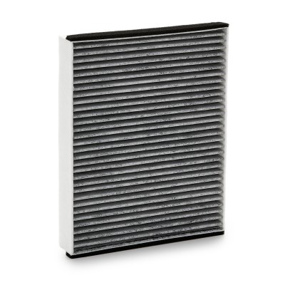 Filter, Innenraumluft RIDEX 424I0413 424I0413 - foto 11