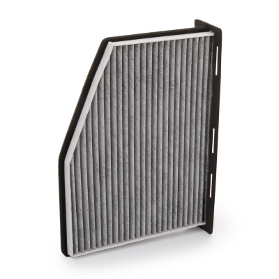 Filter, Innenraumluft RIDEX 424I0002 424I0002 - foto 7